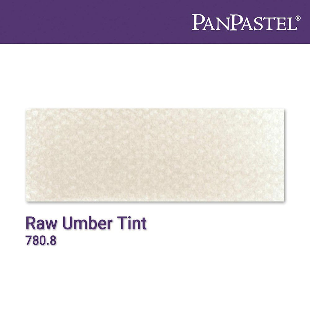 PanPastel Ultra Soft Artist Pastel Boya Raw Umber Tint 27808 - 4